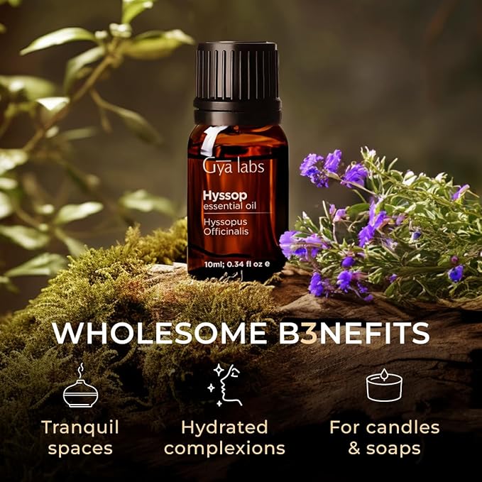 Gya Labs Hyssop Essential Oil - 0.34 Fl Oz - for Hair, Skin, Diffuser, Aromatherapy & DIY Candle Making Scent
