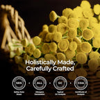 Gya Labs Blue Tansy Essential Oil - 0.17 Fl Oz - for Hair, Skin, Diffuser, Aromatherapy & DIY Candle Making Scent