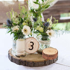 100 PCS 2 Inch - 2.4 Inch Small Wood Slices, Mini Wood Slices with Hole for DIY Arts Craft Christmas Ornaments