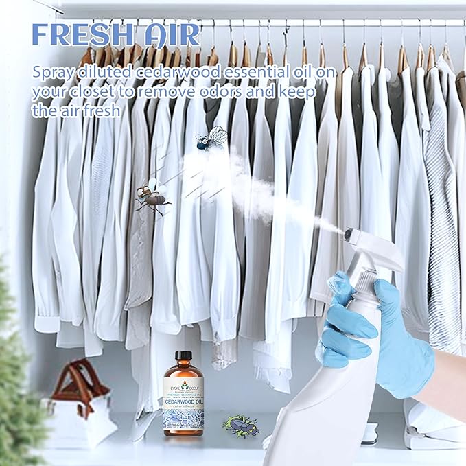 EVOKE OCCU Cedarwood Essential Oil for Air Freshening, Hair Care, Add to Spray Diffuser Conditioner - 4 Fl Oz