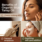 Gya Labs Blue Tansy Essential Oil - 0.17 Fl Oz - for Hair, Skin, Diffuser, Aromatherapy & DIY Candle Making Scent