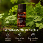 Gya Labs Cilantro Essential Oil - 0.34 Fl Oz - for Hair, Skin, Diffuser, Aromatherapy & DIY Candle Making Scent