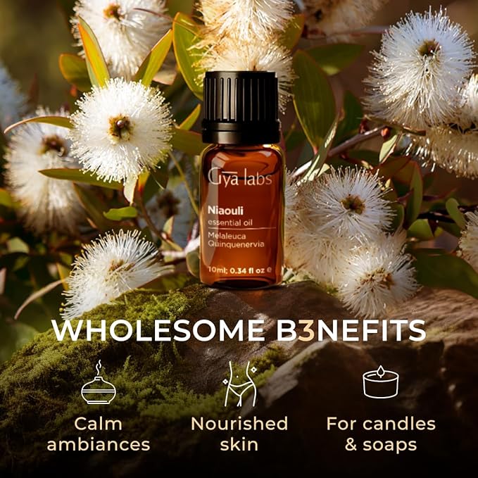 Gya Labs Niaouli Essential Oil - 0.34 Fl Oz - for Hair, Skin, Diffuser, Aromatherapy & DIY Candle Making Scent