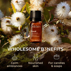 Gya Labs Niaouli Essential Oil - 0.34 Fl Oz - for Hair, Skin, Diffuser, Aromatherapy & DIY Candle Making Scent