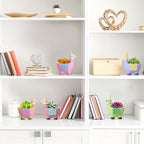 Pasimy 6 Set DIY Ceramic Succulent Planter Pots Paint Your Own Flower Pots Craft Kit Unpainted Bisque Paintable Flowerpot with Brush Palette Ready to Paint for Family Activity Gift(Alpaca)