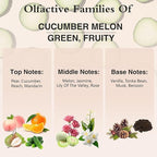 PHATOIL Cucumber Melon Fragrance Oils for Aromatherapy, 3.38FL.OZ Diffuser Oils for Home, Perfect for Aromatherapy, Humidifiers, Yoga, DIY Candle and Soap Making - 100ml