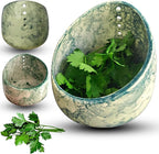 Pottery Herb Stripper Bowl, Ceramic Herb Peeling Bowl, Handmade Herb Stripper Tool Different Round Hole Sizes Suitable for The Leafy Assembly