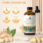 EVOKE OCCU 100% Pure Ginger Oil, Natural Ginger Essential Oil for Massage, Diffuser, Hair, Skin, DIY - 4 Fl Oz