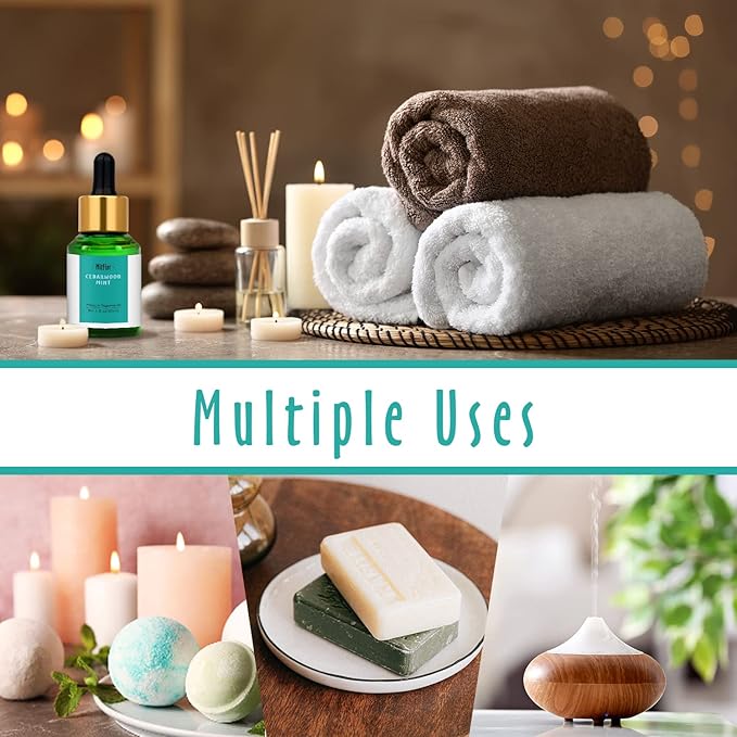 Cedarwood Mint Fragrance Oil, MitFlor Single Scented Oil, Premium Grade Fragrance Oil for Candle Making, Soap Making Scents, Large Size Aromatherapy Oil, Forest Scents for Home Fragrance, 30ml