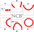 NCB Black Matte Onyx Beads 200pcs 4mm Round Gemstone Beads Spacer Charm Beads Natural Stone Loose Beads for Bracelet Necklace Jewelry Making 4mm 6mm 8mm 10mm (Matte Black Onyx, 4mm 200Beads)