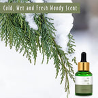 Frosty Fir Fragrance Oil, MitFlor Single Diffuser Essential Oil, Large Size Premium Grade Fragrance Oil for Soap & Candle Making, Aromatherapy Oil, Refreshing & Forest Scent for Home Fragrance, 30ml
