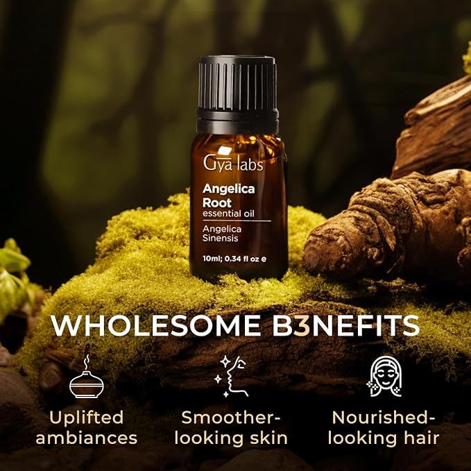 Gya Labs Angelica Root Essential Oil - 0.34 Fl Oz - for Hair, Skin, Diffuser, Aromatherapy & DIY Candle Making Scent