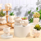 Hushee 12 Sets DIY Ceramic Succulent Pots Ready to Paint Animal Planters Unpainted Plant Flower Pots Bulk with Drainage Hole and Bisque Paint for Kids Adults Craft Christmas