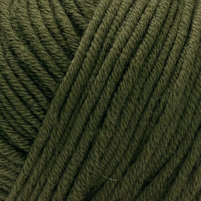 Estako Wool 98 (4- Skeins Pack) 100% Superwash Merino Wool Medium Worsted Weight Soft Knitting and Crochet Yarn (4 x 1.76 oz) (6372 - Olive Green)