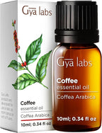 Gya Labs Coffee Essential Oil - 0.34 Fl Oz - for Hair, Skin, Diffuser, Aromatherapy & DIY Candle Making Scent