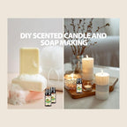 PHATOIL Coconut & Vanilla Fragrance Oils Set, 10 Pcs Aromatherapy Oils Set, for Diffusers, Home Care, DIY Soap Candle Making Scents, Fragrance, Aromatherapy, Humidifiers, for Friend (10ml)