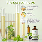 EVOKE OCCU Basil Essential Oil for Skin Massage Diffuser and Candle Making- 4 Fl Oz