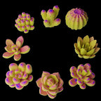 8 Pcs Succulent & Resin Candle Mold - Craft Supplies 3D Mold for Resin Casting