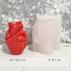 Organ Heart Silicone Resin Casting & Soap Making Molds - 3D Animal Shapes for Candle Making & Home Decor