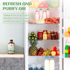 EVOKE OCCU Spearmint Oil for Inhibit Facial Hair Growth, Air Freshening, Added to Creams & Lotions - 4 Fl Oz