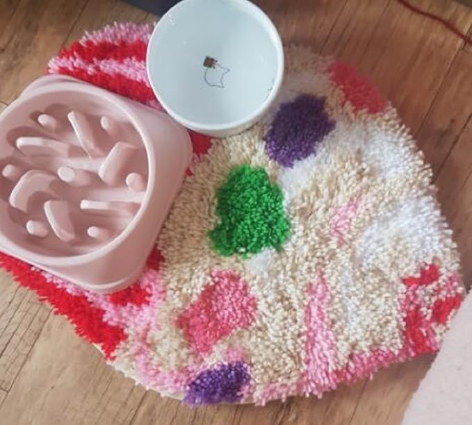 Latch Hook Kits Rug Parrot Crochet Yarn Cushion Colour Pre-Printed Canvas Cover Rug Needlework DIY Hook and Latch Kit Christmas Home Decoration 30x30cm/12 X12inch