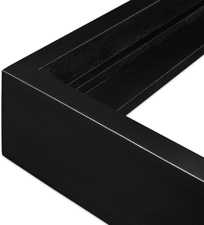 Ampersand Art Supply Floaterframe Readymade Frame for Flat and 7/8" Deep Wood Panel and Canvas Artwork, Paintings, Prints, and More, 16"x20", Black Bold
