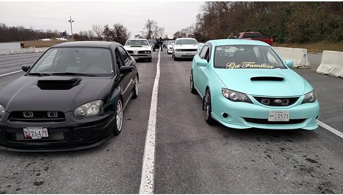 KP Pigments TiffBlue Pearlescent 100% Pure Fine Mica Powder - Naturally Pigmented Multipurpose DIY Arts and Crafts, Dye, Soap Making, Cosmetics, Epoxy Resin, Paint, and More! 1 Kg