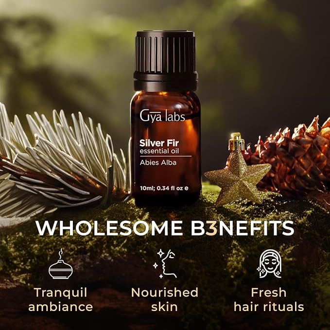 Gya Labs Silver Fir Essential Oil - 0.34 Fl Oz - for Hair, Skin, Diffuser, Aromatherapy & DIY Candle Making Scent