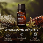 Gya Labs Silver Fir Essential Oil - 0.34 Fl Oz - for Hair, Skin, Diffuser, Aromatherapy & DIY Candle Making Scent