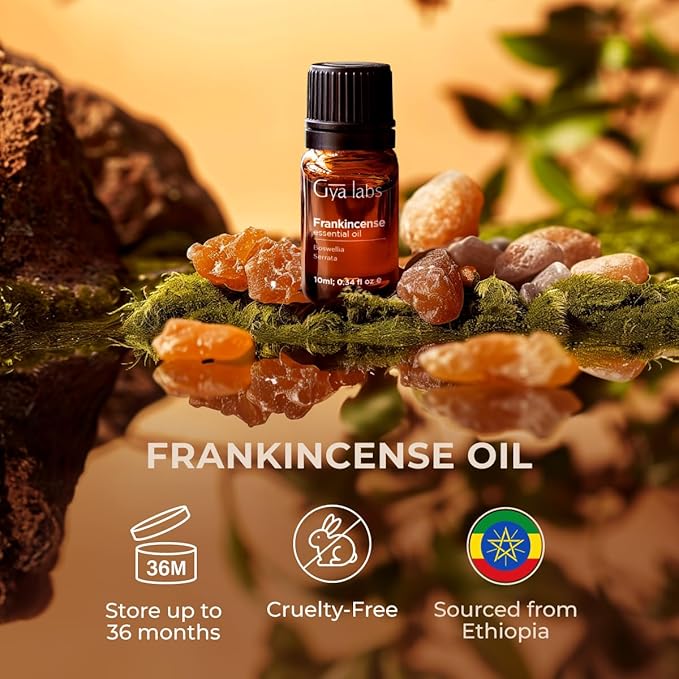 Gya Labs Frankincense Essential Oil - 0.34 Fl Oz - for Hair, Skin, Diffuser, Aromatherapy & DIY Candle Making Scent