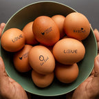 Egg Stamp, 4 Pcs, Egg Stamps for Fresh Eggs, Egg Stamper, 4 Unique Designs with Ink Pad Included, Egg Stamps for Fresh Eggs Personalized, Chicken Egg Stamp, Ideal for Egg Famers and Chicken Owners