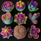 9 Pack Flower Succulent Candle Mold Resin Casting Silicone Molds for Home Decor & Candle Making Wave Spiral Mold