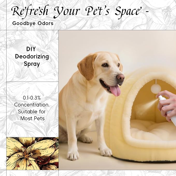 HIQILI Vanilla Fragrance Oil for Body Spray, Diffuser Use, Essential Oil for Candle, Soap, and Women Perfume Making - 1 Fl Oz