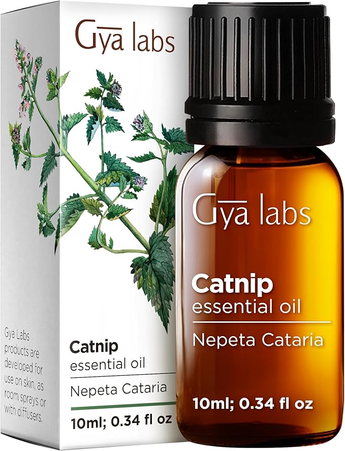Gya Labs Catnip Essential Oil - 0.34 Fl Oz - for Hair, Skin, Diffuser, Aromatherapy & DIY Candle Making Scent