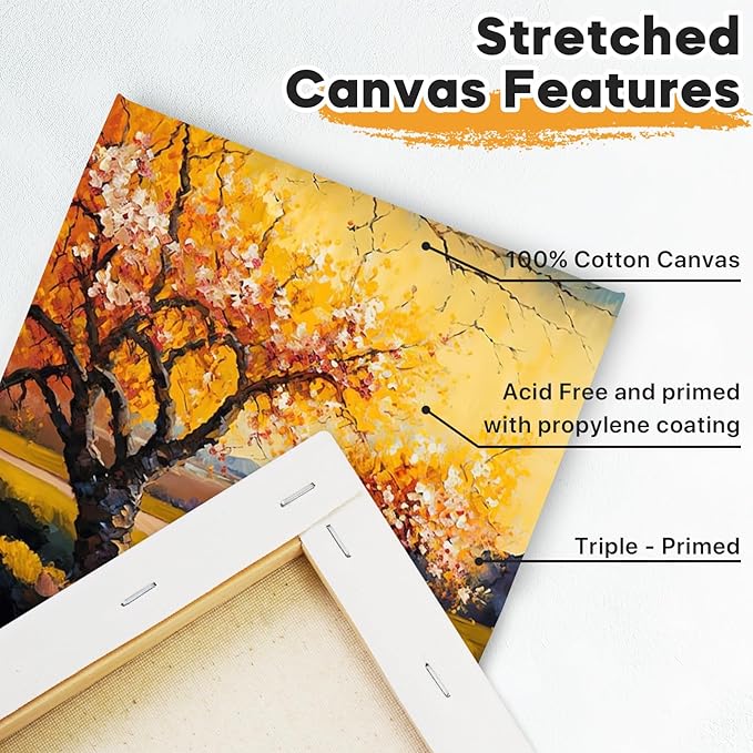 CONDA Stretched Canvas for Painting, 12 Packs Multi Size with 8" Round, 10" Round, 6" Square, 3" Hexagon, 5×7", 8×10" Primed Blank Canvas (2 of Each), 100% Cotton Artist Canvas for Acrylics Oils Paint