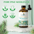 EVOKE OCCU Pine Essential Oil for Diffuser, Fresh Pine Scent for Aromatherapy, Skin, Hair Care, Soap & Candle Making - 4 Fl Oz