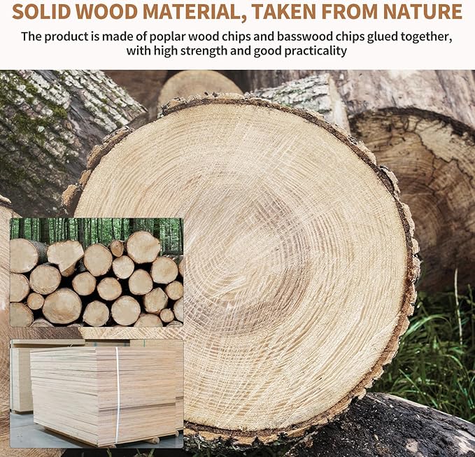 10 Pack-12x12'' Basswood Sheets 1/4 for Crafts Inch 6mm Unfinished Basswood Sheets.Plywood Sheets Used for DIY Projects, Laser Engraving, Wood Burning, Staining, Model Making & More