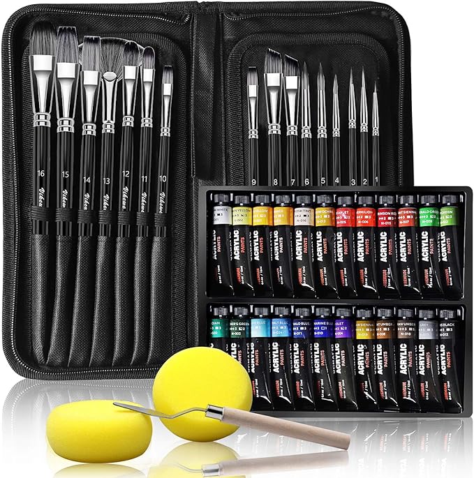 Acrylic Paint Set, 44 Piece Professional Painting Set, Includes 24 Acrylic Paints, 16 Pcs Paint Brushes with Case,Paint Knife and Art Sponge for Watercolor, Oil, Artists, Students and Kids