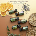 Hearth & Harbor Organic Soy Candle Wax for Candle Making, Premium 10 lbs Natural Candles Making Supplies, Beeswax-Free, Paraffin-Free, Pure Soy Wax Flakes Perfect for Candles, Tealights and Melts