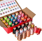 Richword Selected 800M 40 Colors Embroidery Thread,40WT(108D/2) Polyester Embroidery Machine Thread Set for Embroidery Machines and Sewing Machines