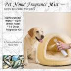 HIQILI Green Tea Fragrance Oil for Candle & Soap Making, Refreshing Scents, for Home Diffusers, Laundry Dryer Balls - 5.07 Fl Oz