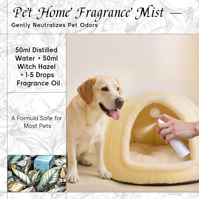 HIQILI Green Tea Fragrance Oil for Candle & Soap Making, Refreshing Scents, for Home Diffusers, Laundry Dryer Balls - 5.07 Fl Oz