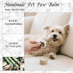 HIQILI Bamboo Fragrance Oil for Scent Diffuser, Idea for Candle & Soap Making, DIY Room Air Fresheners, New Car Scent - 1 Fl Oz