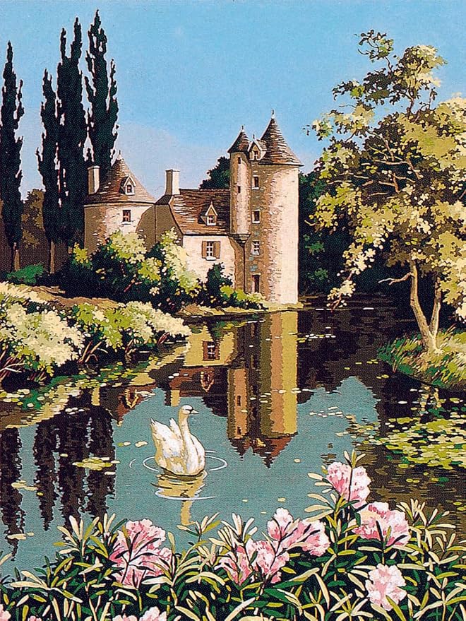 Wizardi Needlepoint Canvas for halfstitch Without Yarn Canvas The Old Manor SE981.94 Seg De Paris