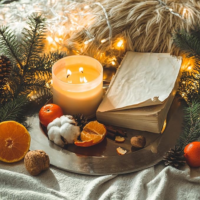 12 OZ Thick Candle Jars for Making Candles 12 Pcs, Empty Jars with Wood Lids for Spice Jars, Sample Container, Frosted White