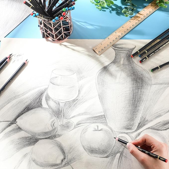 100 Pcs Charcoal Pencils Drawing Set, Charcoal Pencils bulk for Drawing Sketching Shading Blending Portrait Beginners and Artists(Black,Super Soft, Soft, Medium and Hard)