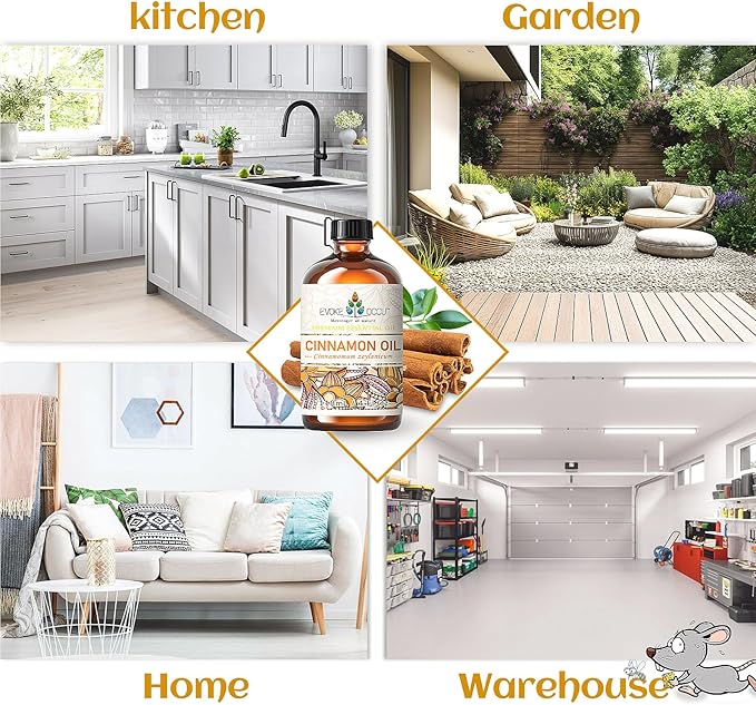 EVOKE OCCU Cinnamon Essential Oil - Warm Fall Scent for Diffuser, Spray, Soap, Candles, Hair & Skin Care - 4 Fl Oz