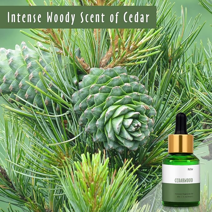 Cedarwood Fragrance Oil, MitFlor 30ml Scented Essential Oil for Diffuser, Large Size Premium Fragrance Oil for Soap Candle Making, Woody Scent for Home Fragrance