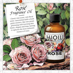 HIQILI Rose Fragrance Oil for Candle & Soap Making, Essential Oil for Diffuser, Floral Scents, Add to Laundry Dryer Balls - 1 Fl Oz