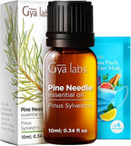Gya Labs Pine Needle Essential Oil - 0.34 Fl Oz - for Hair, Skin, Diffuser, Aromatherapy & DIY Candle Making Scent